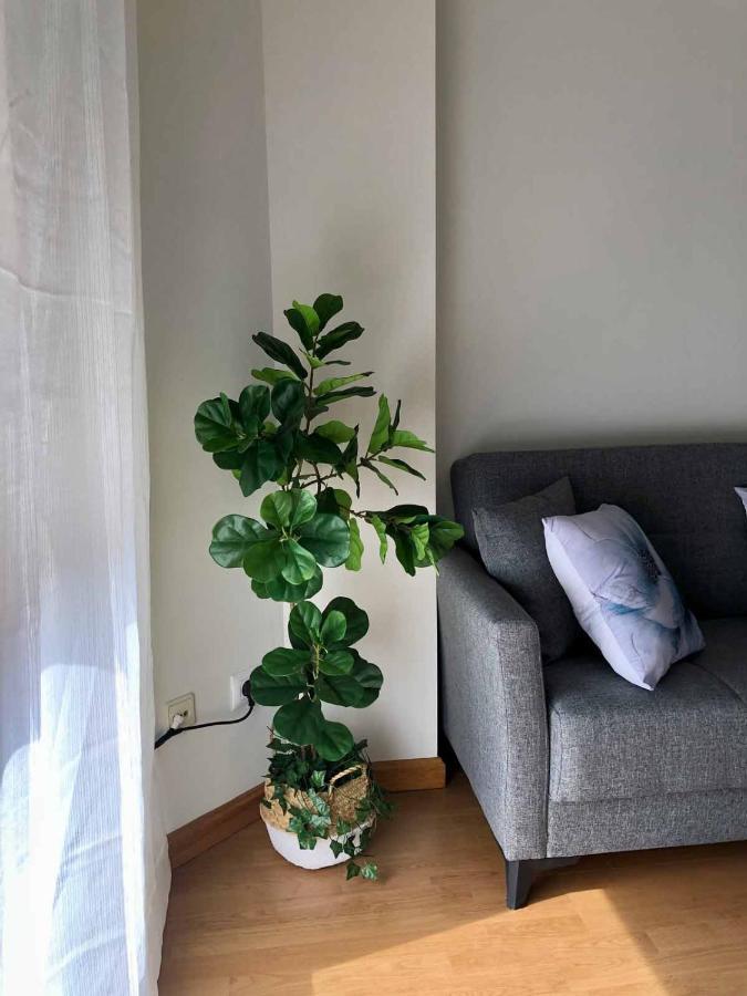 Apartamentos Schultz Χιχόν Εξωτερικό φωτογραφία